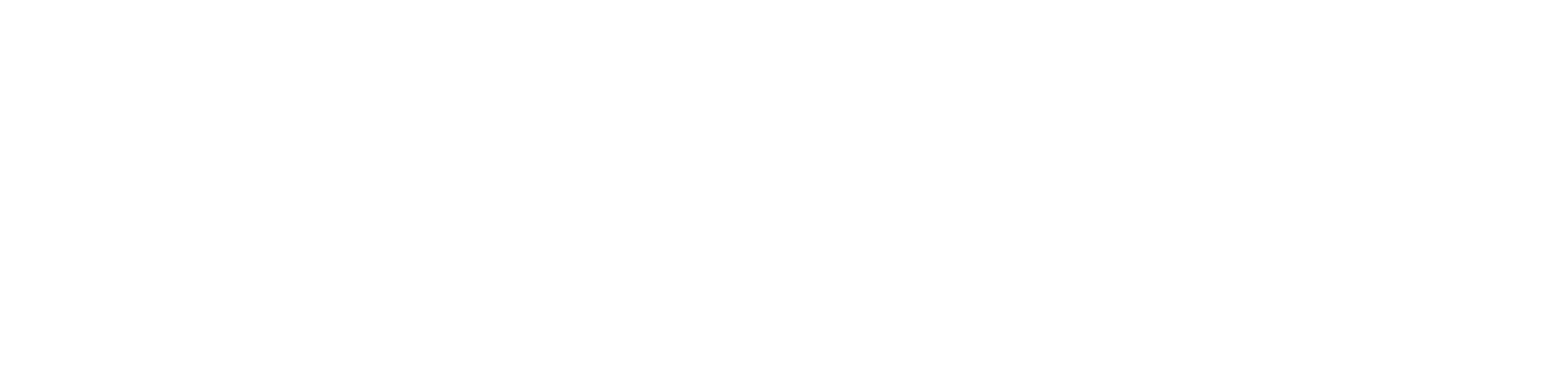 Grupo Filler — Desde 1991